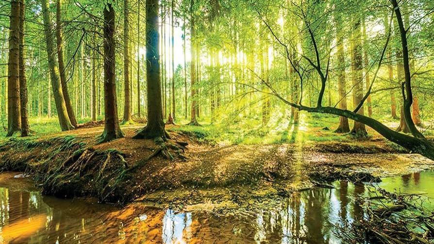 817fe0unwgL._AC_UF894,1000_QL80_